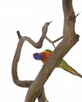 Girls Out West - 43-celine-by-the-river-0043