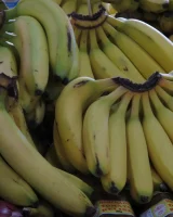 Girls Out West - 08-008