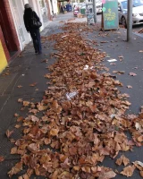 Girls Out West - 11-011