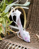 Girls Out West - 21-marlie-tongue-tied-0021