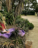 Girls Out West - 20-melaina_gardens022