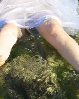 Girls Out West - 25-rosie_seethru_dress_29