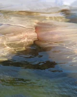 Girls Out West - 44-rosie_seethru_dress_48