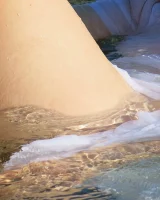 Girls Out West - 46-rosie_seethru_dress_50