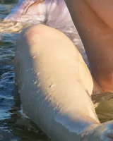 Girls Out West - 47-rosie_seethru_dress_51