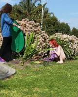 Girls Out West - 80-roadside115